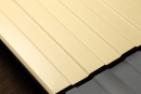 Профнастил С8 1200/1150x0,4 мм, 1014 слоновая кость глянцевый